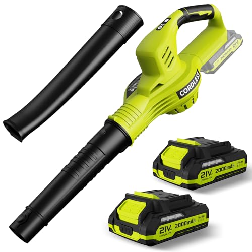 Best Rechargeable Leaf Blower