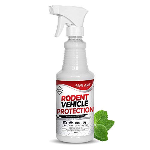 Best Rodent Repellent for Car Engines