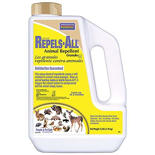 Best Rodent Repellent for Garden