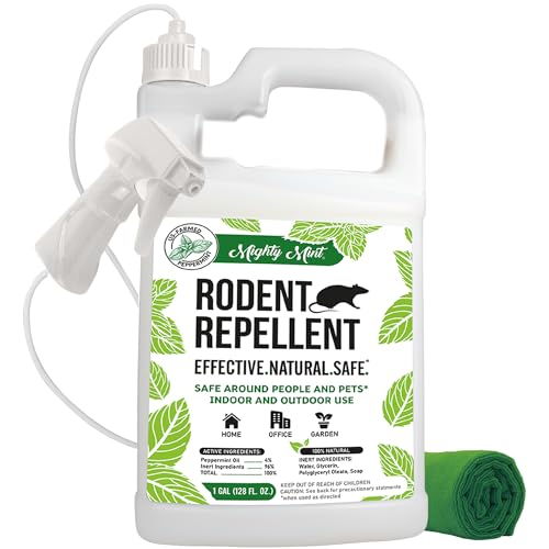 Best Rodent Repellent for Home