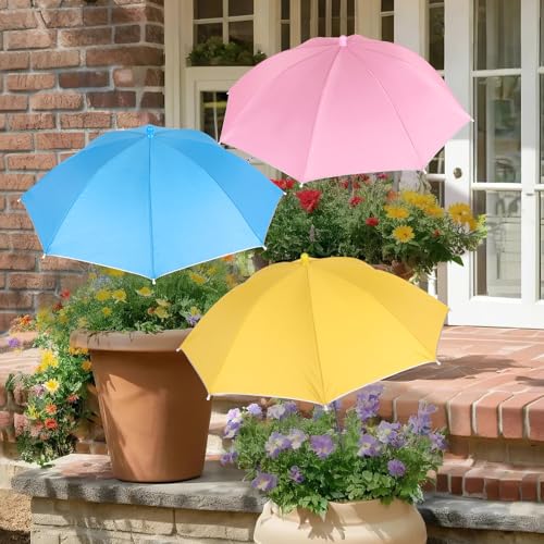 Best Shade Plants for Pots