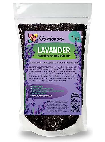 Best Soil for Lavender Plants in Pots