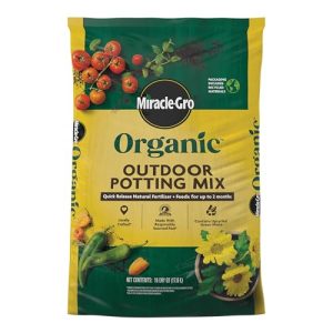 Best Soil for Planting Tomatoes in Pots