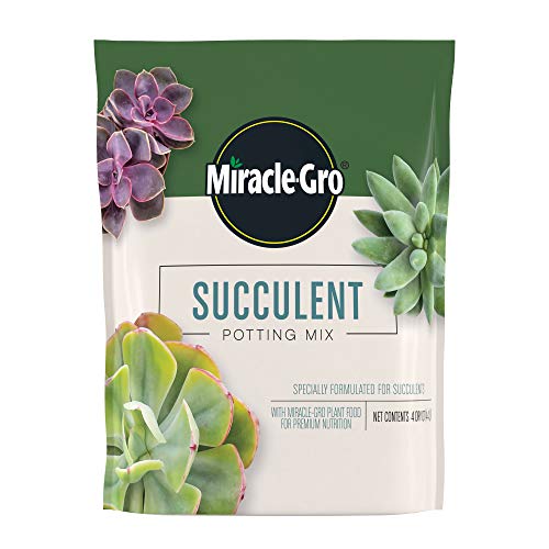 Best Succulent Potting Mix
