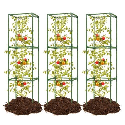 Best Tomato Cage