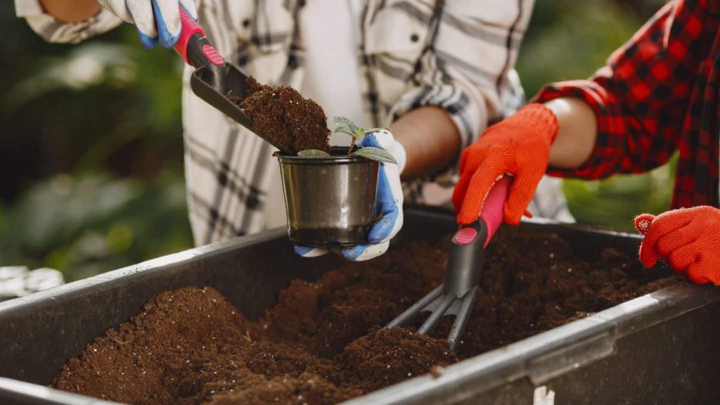 Can You Use Garden Soil for Pots
