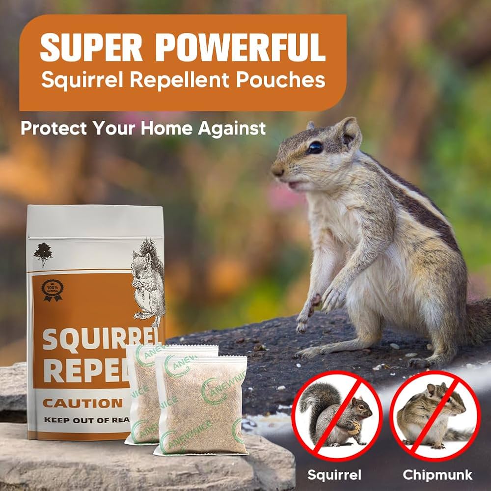 How Do You Get Rid of Chipmunks in the Garden