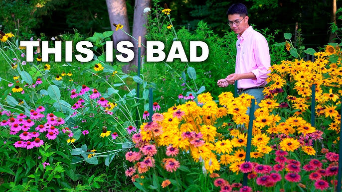 How Do You Make a Flower Garden