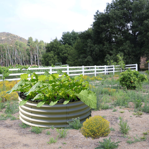 How Much Garden Soil Do I Need
