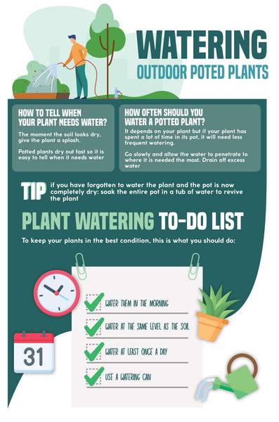 How Often Should I Water the Garden