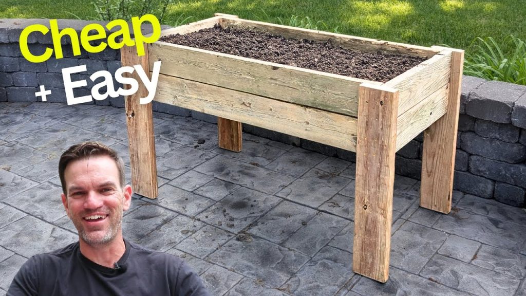 How to Build Elevated Garden Beds
