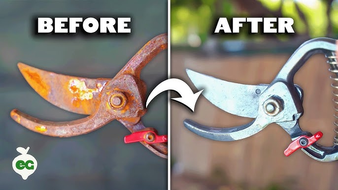How to Clean And Sharpen Garden Tools