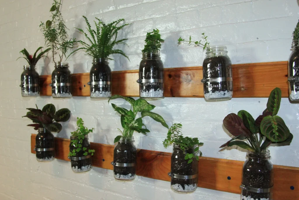 How to Create an Indoor Herb Garden