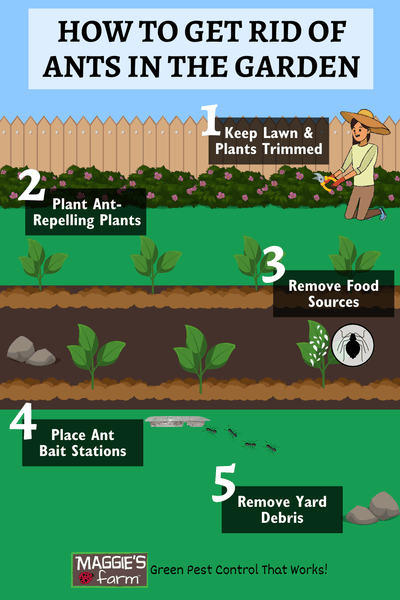How to Get Rid of Ants in the Garden Soil