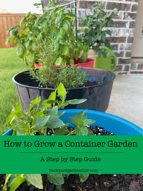 How to Grow a Garden
