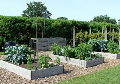 How to Prepare Ground for Vegetable Garden