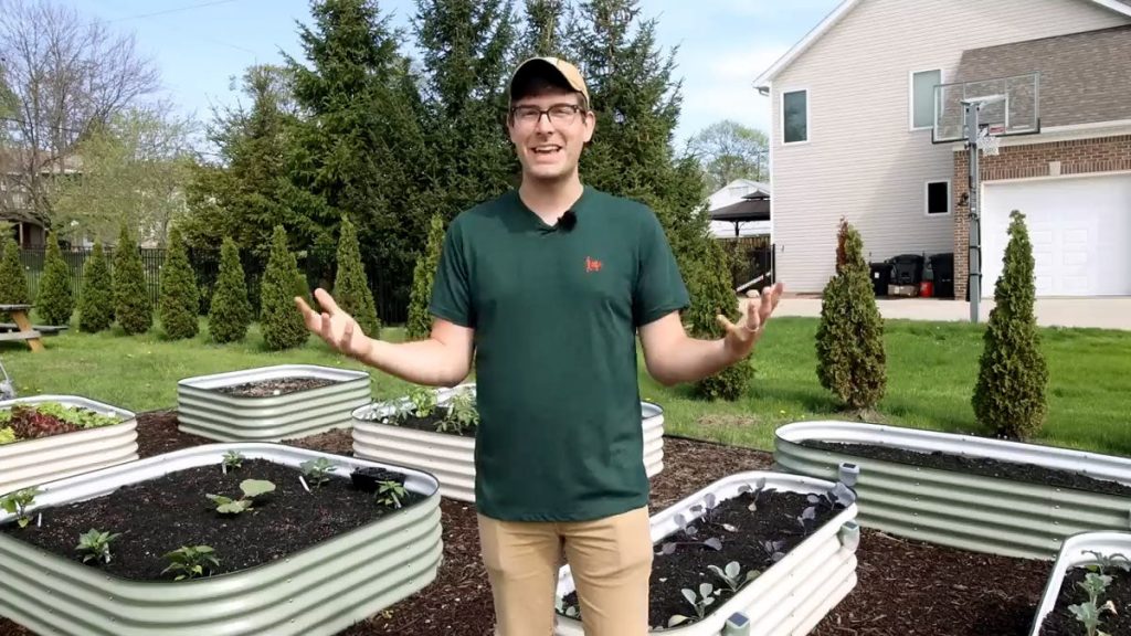 How to Set Up a Vegetable Garden