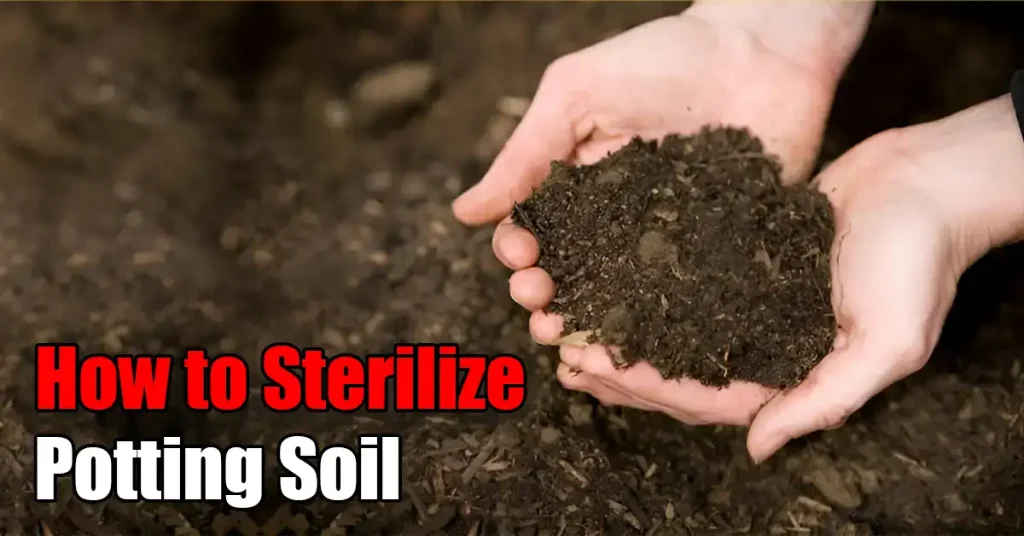 How to Sterilize Garden Soil