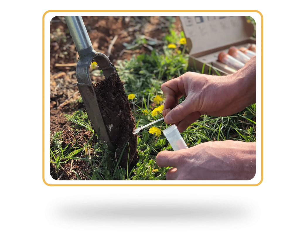 How to Test Garden Soil
