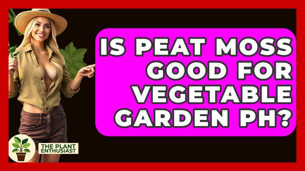 Is Peat Moss Good for a Vegetable Garden