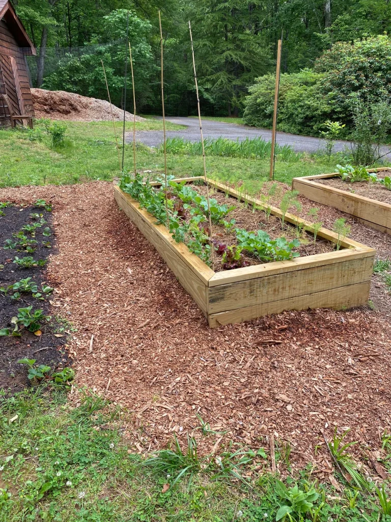 What Soil to Use for Raised Garden Beds