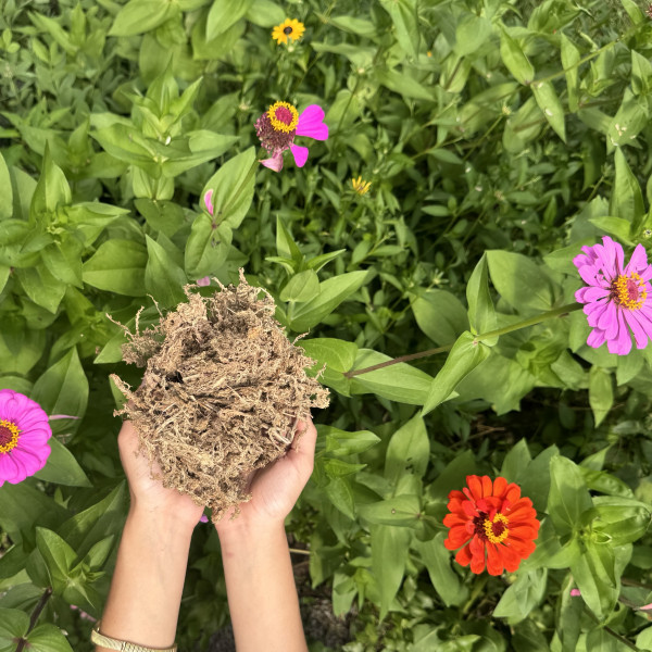 What to Use for Garden Soil