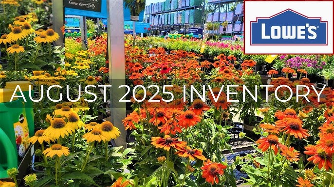 When Does Lowe'S Garden Center Open: Find Out Here! - Garden