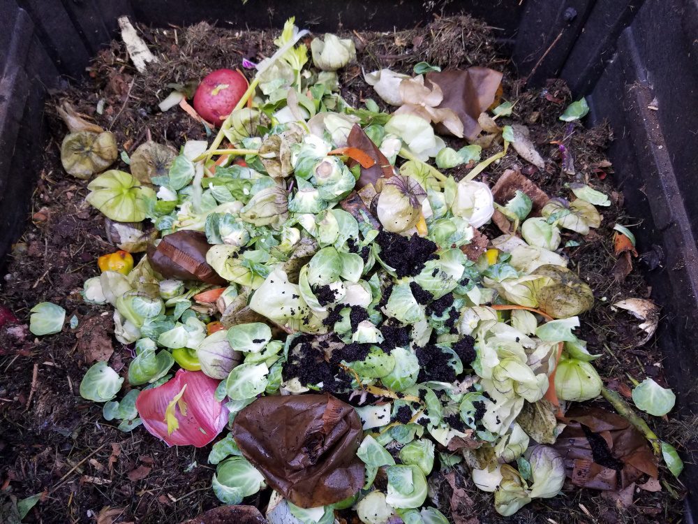 When to Add Manure to Vegetable Garden