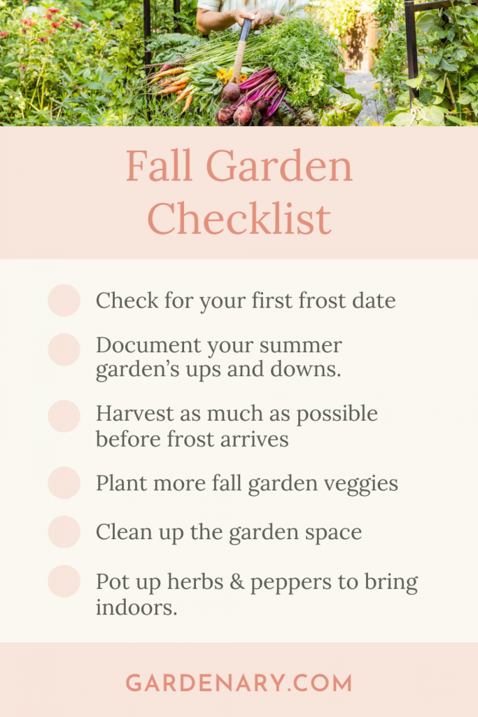 When to Plant a Fall Garden