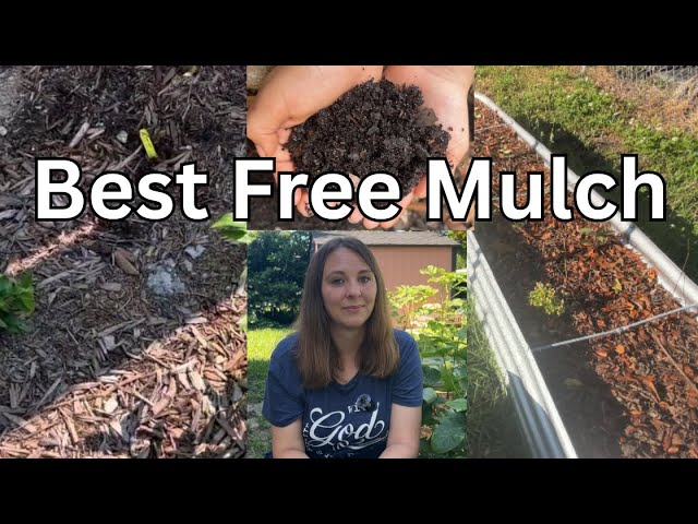 Where to Get Free Soil for Garden