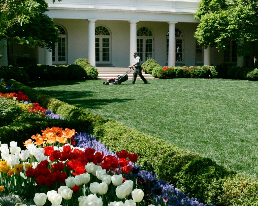 Who Planted the Rose Garden at the White House
