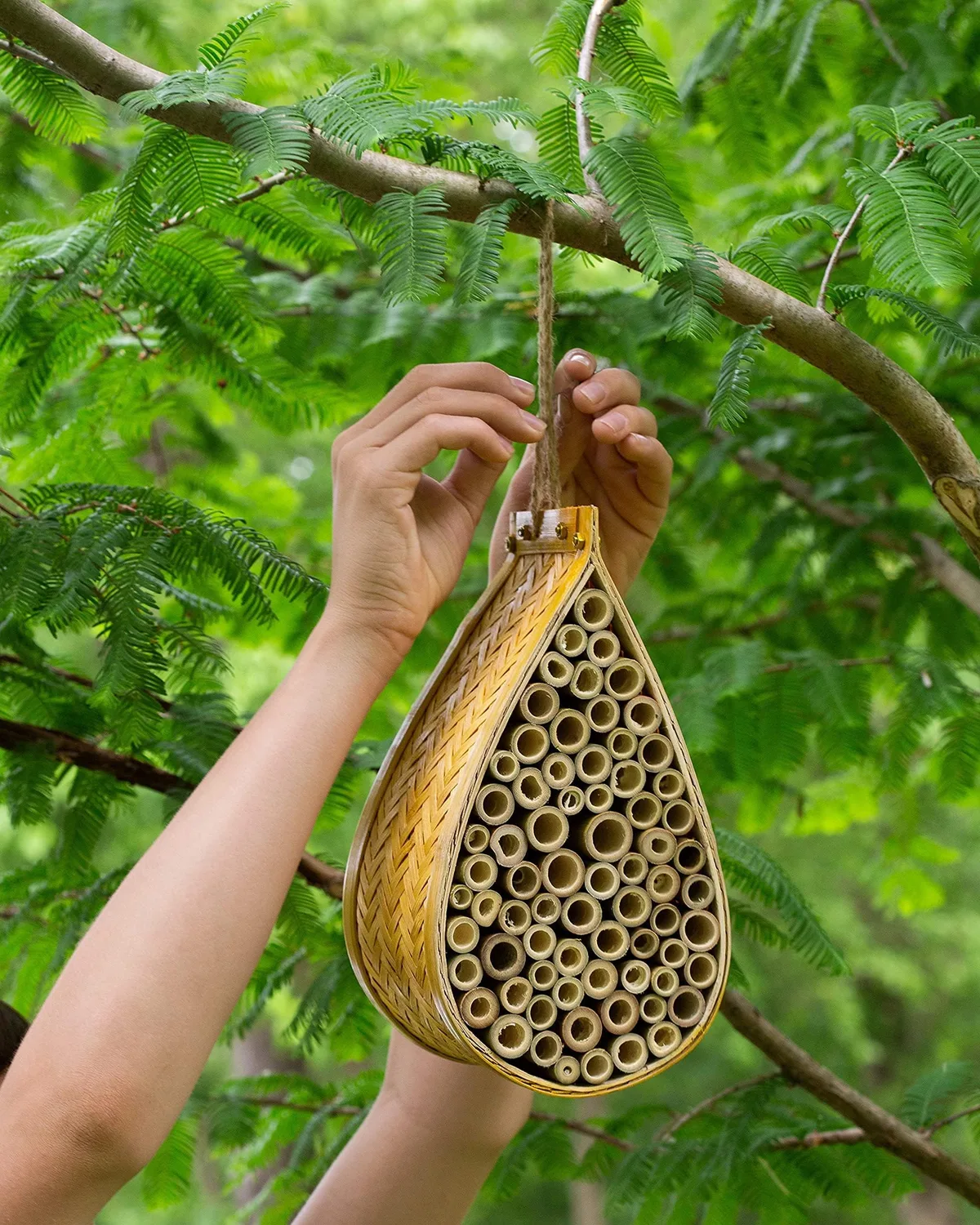 bee hotel