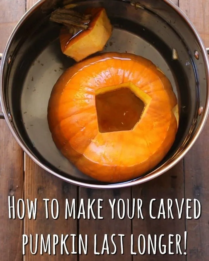 bleach soaking solution