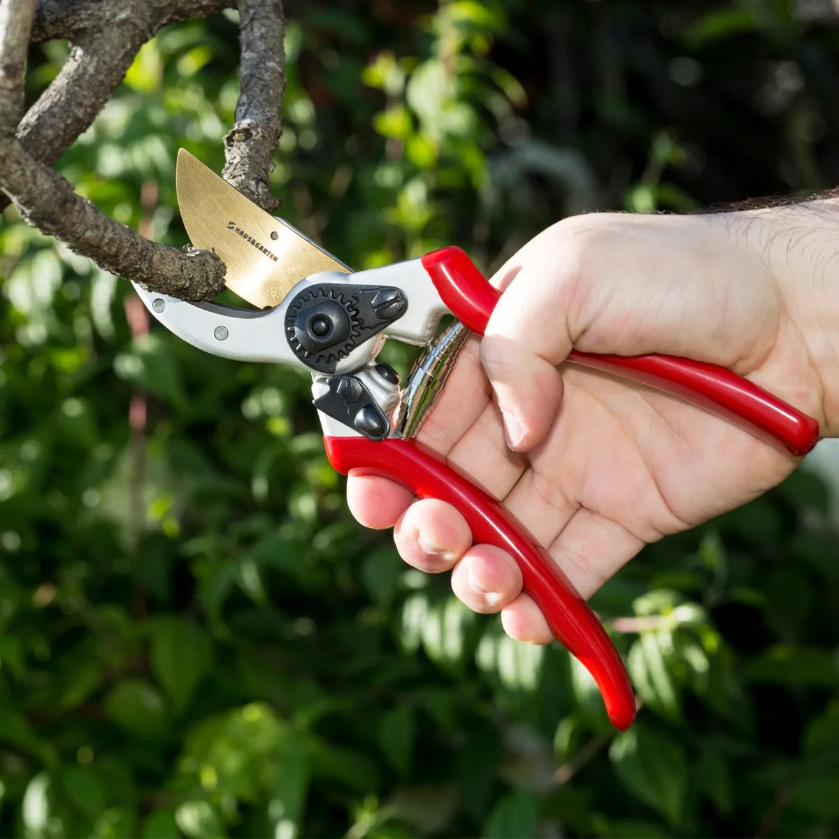 bypass pruners tomato pruning