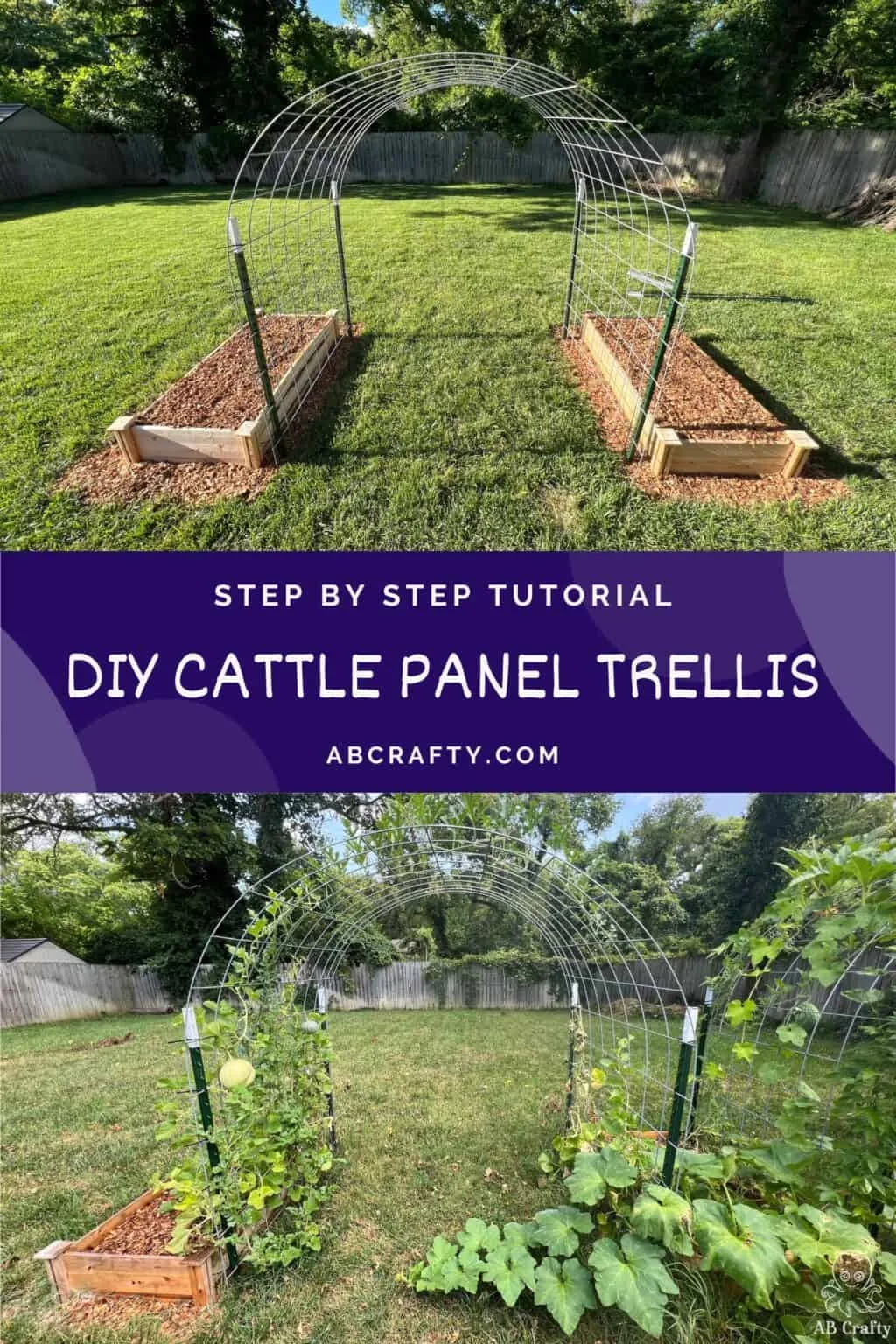 cattle panel trellis
