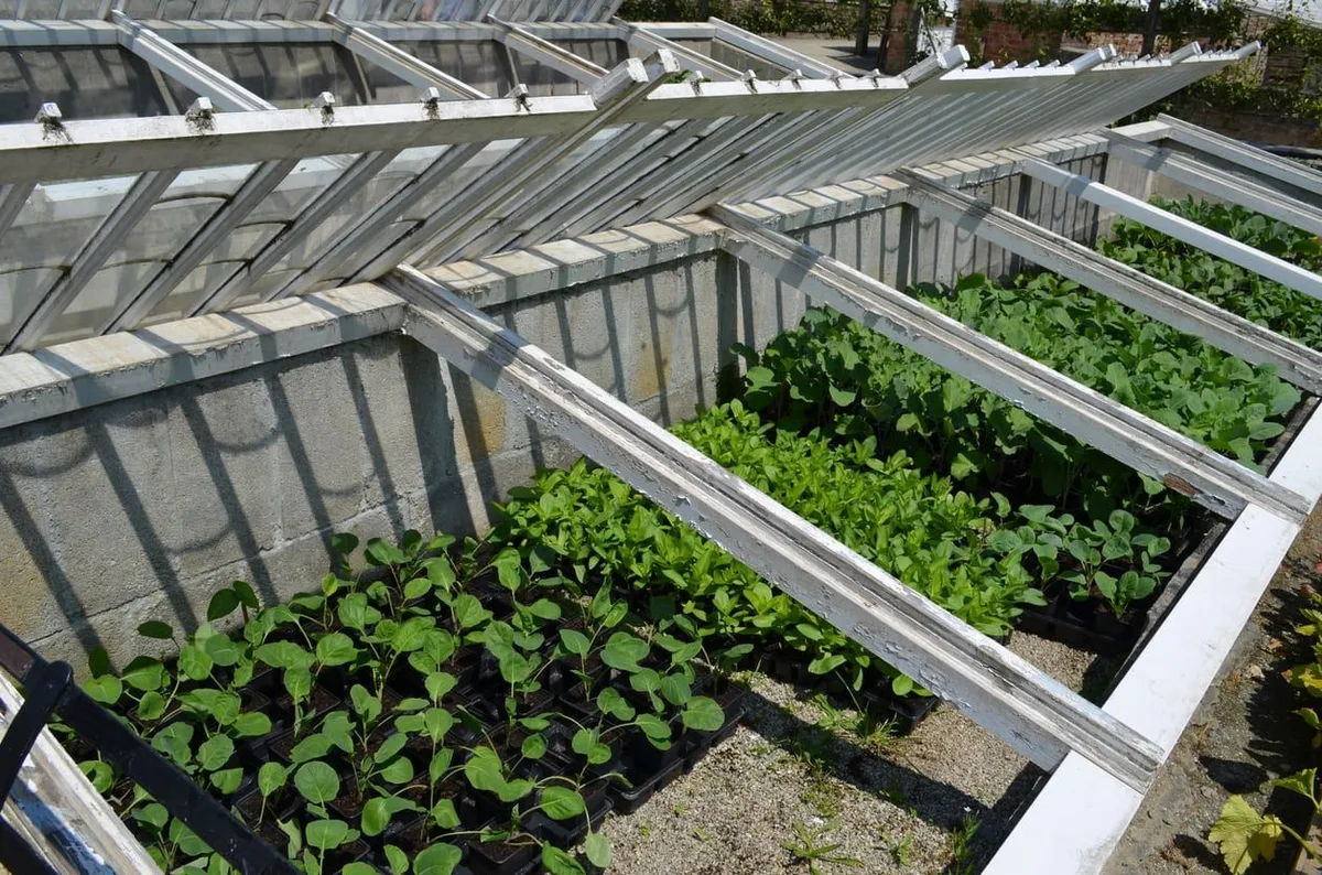 cold frame