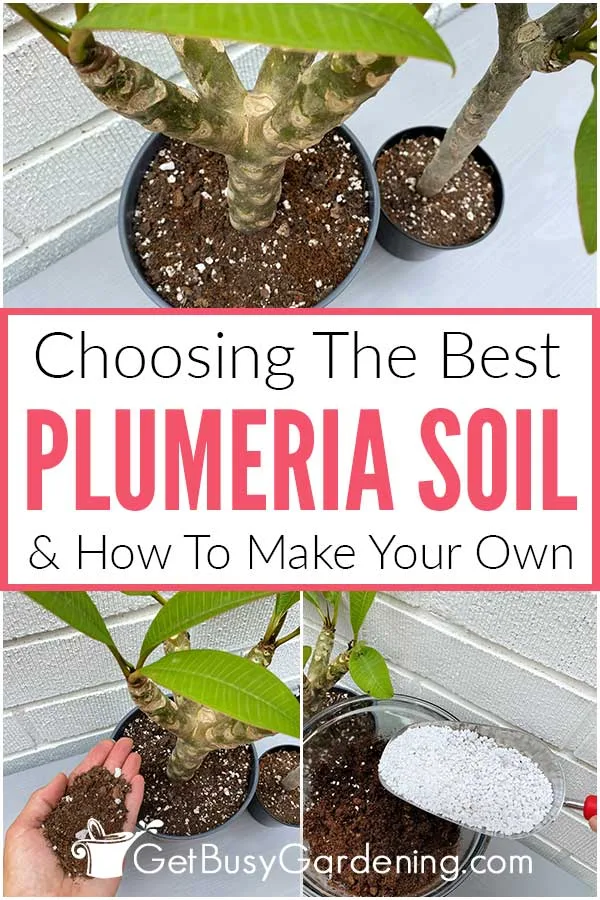 DIY plumeria soil recipe