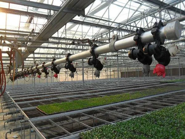 greenhouse sprinkler system