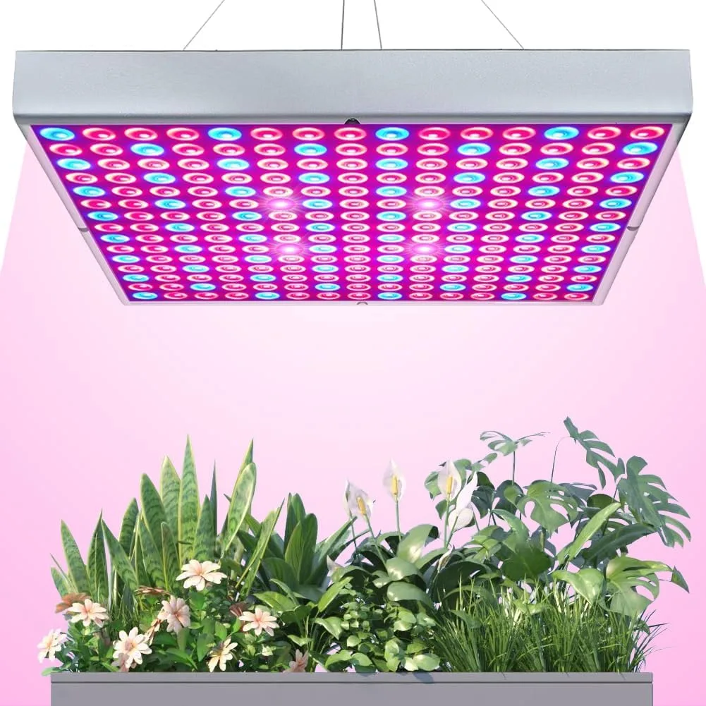 grow light distance