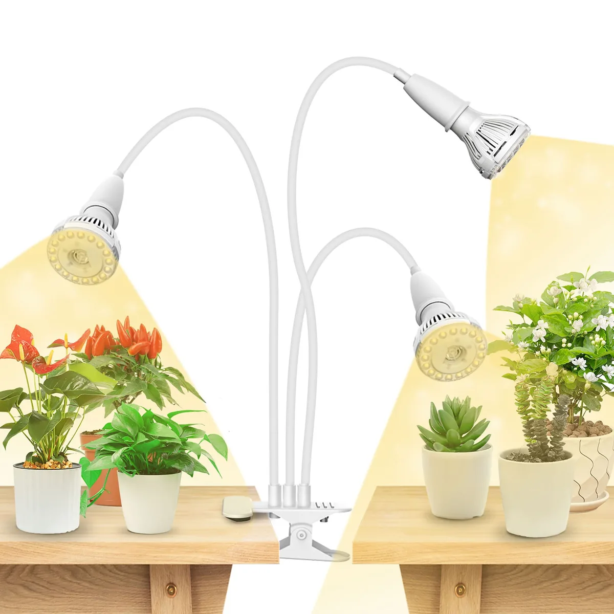 grow light