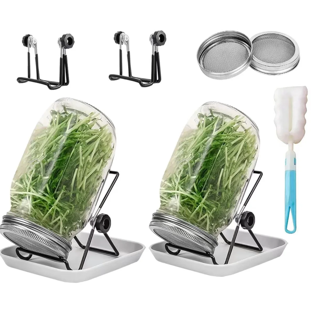 grow sprouts