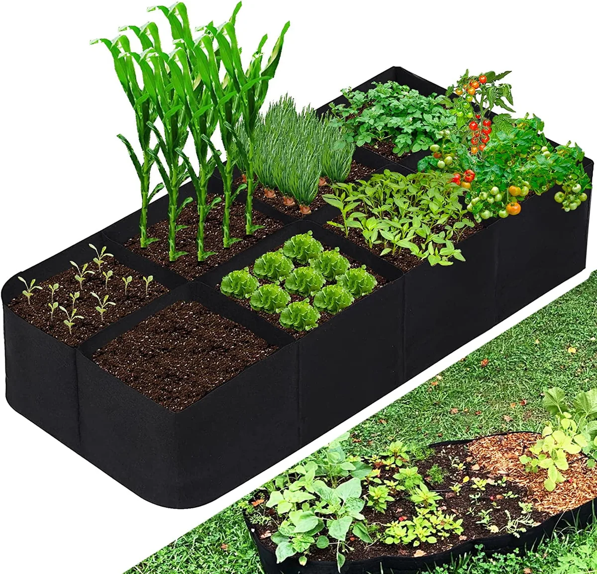 growing containers methods