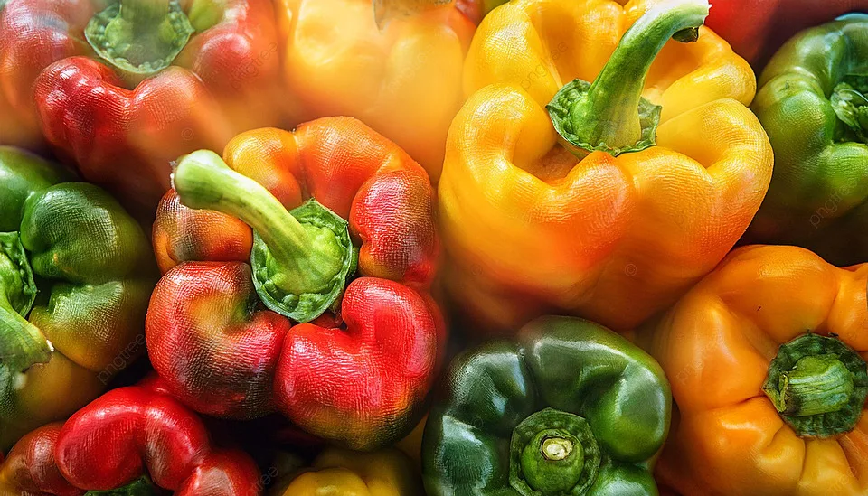 growing peppers