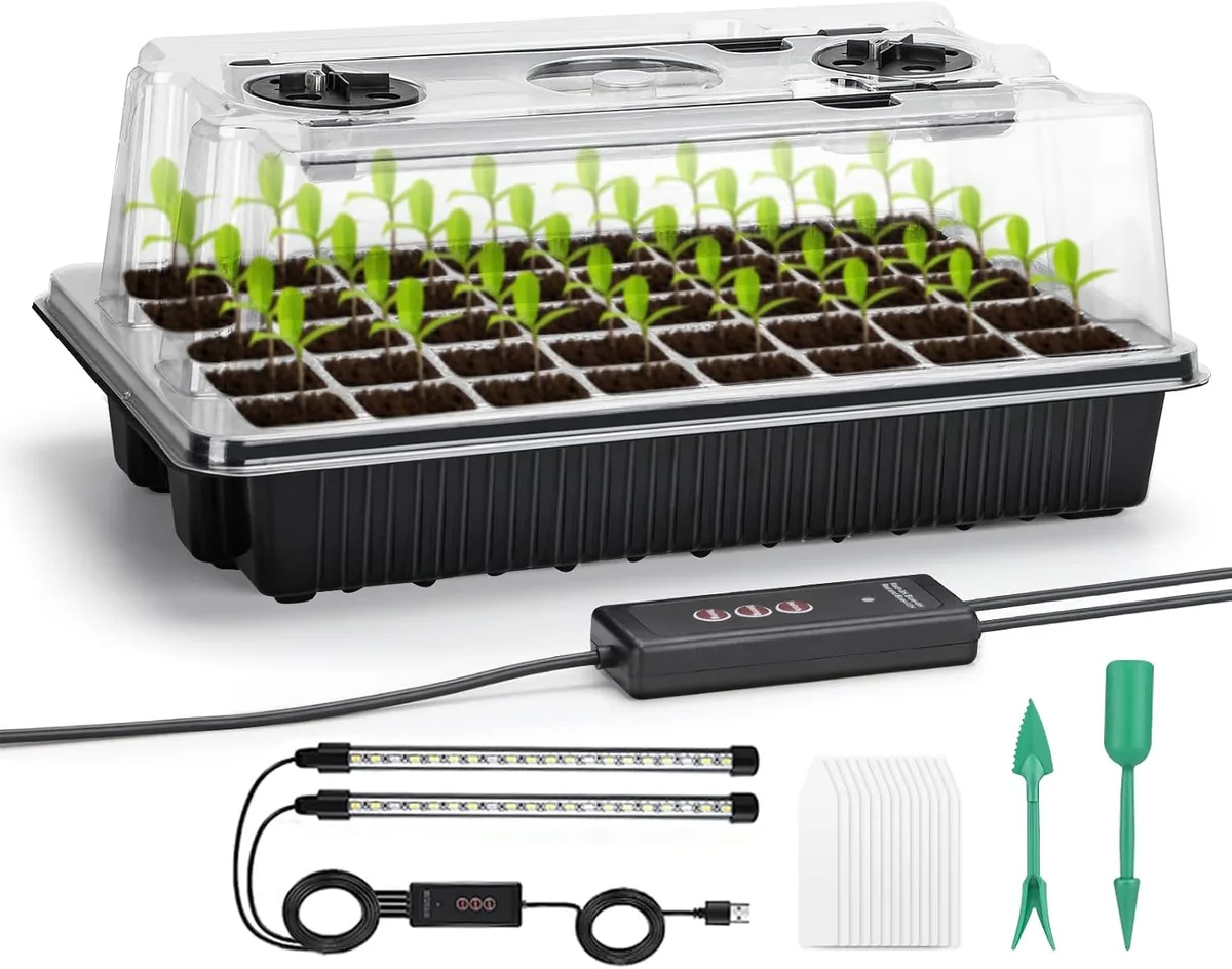 growing seeds