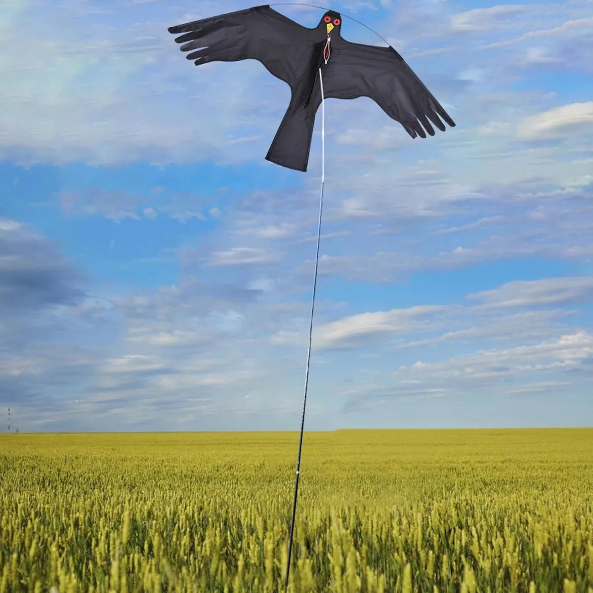 hawk kite bird scare