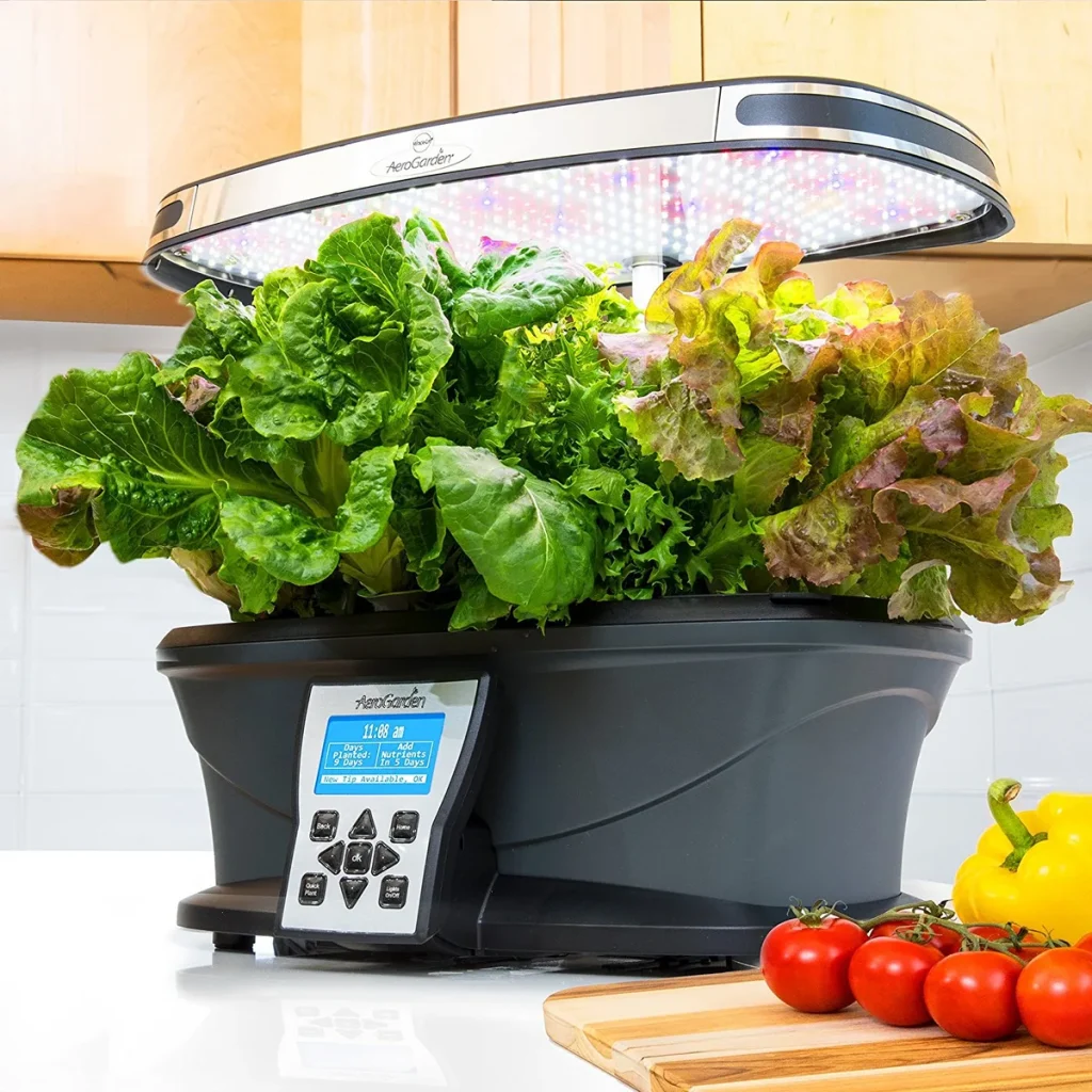 indoor gardening gift ideas