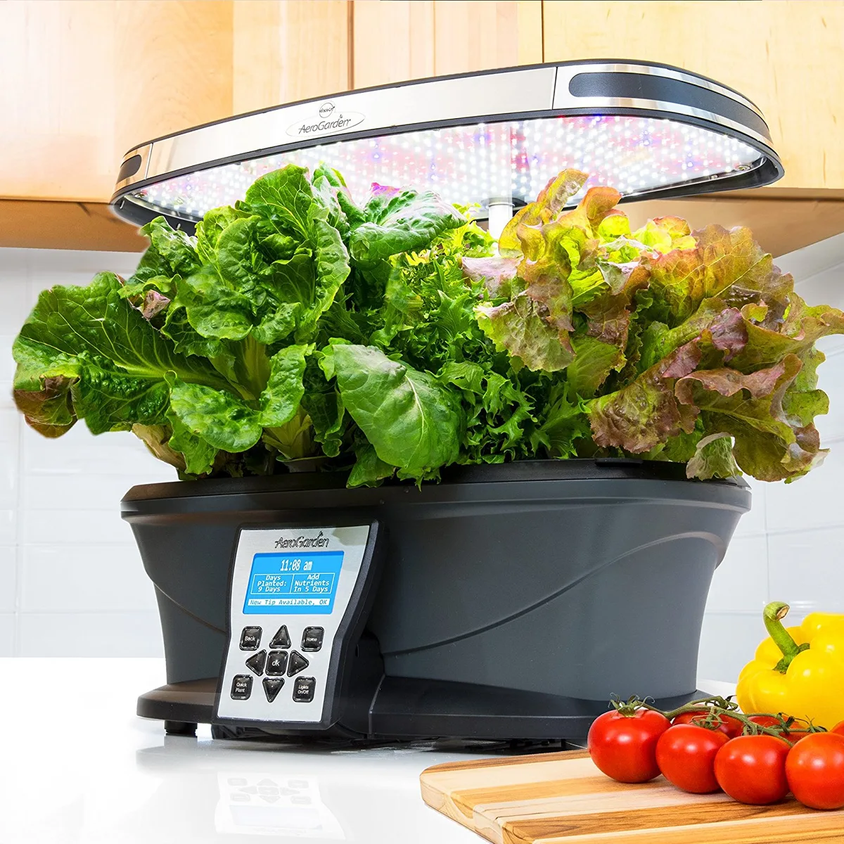 indoor gardening gift ideas