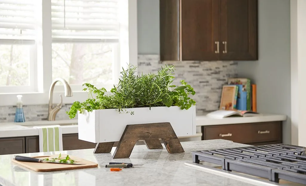 indoor herb gardening