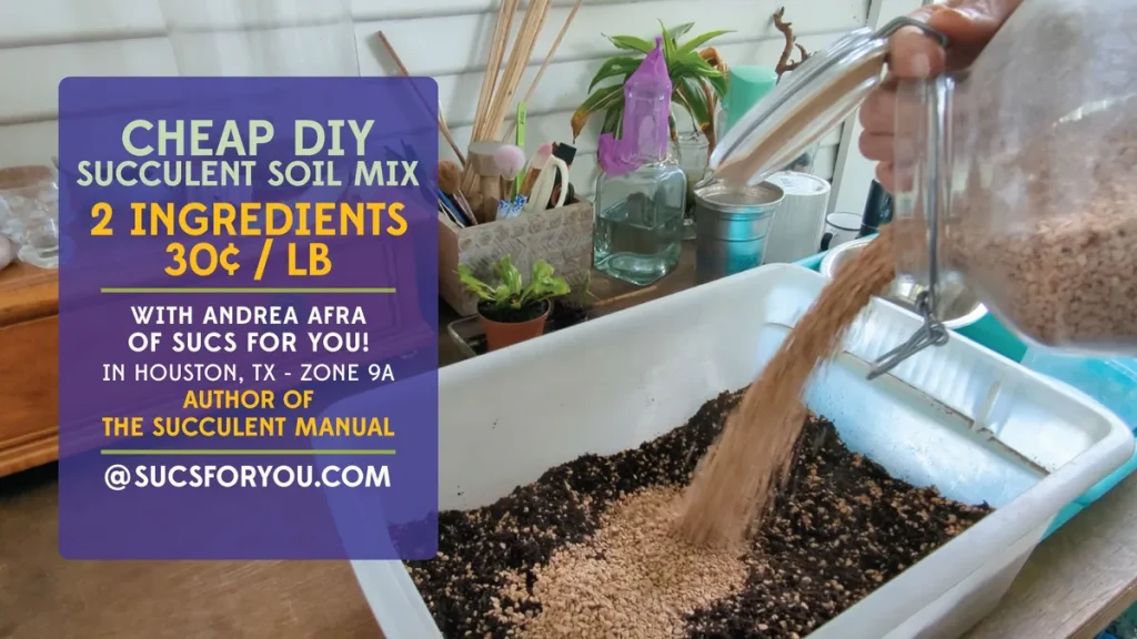 jade plant soil