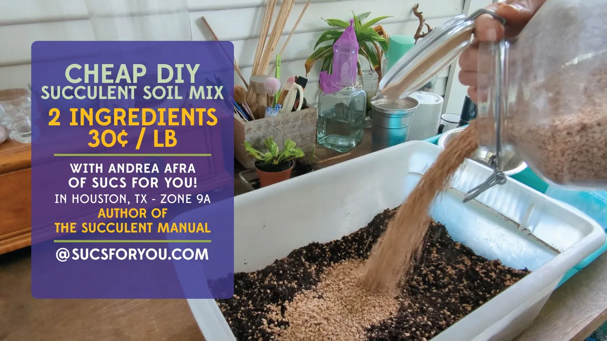 jade plant soil